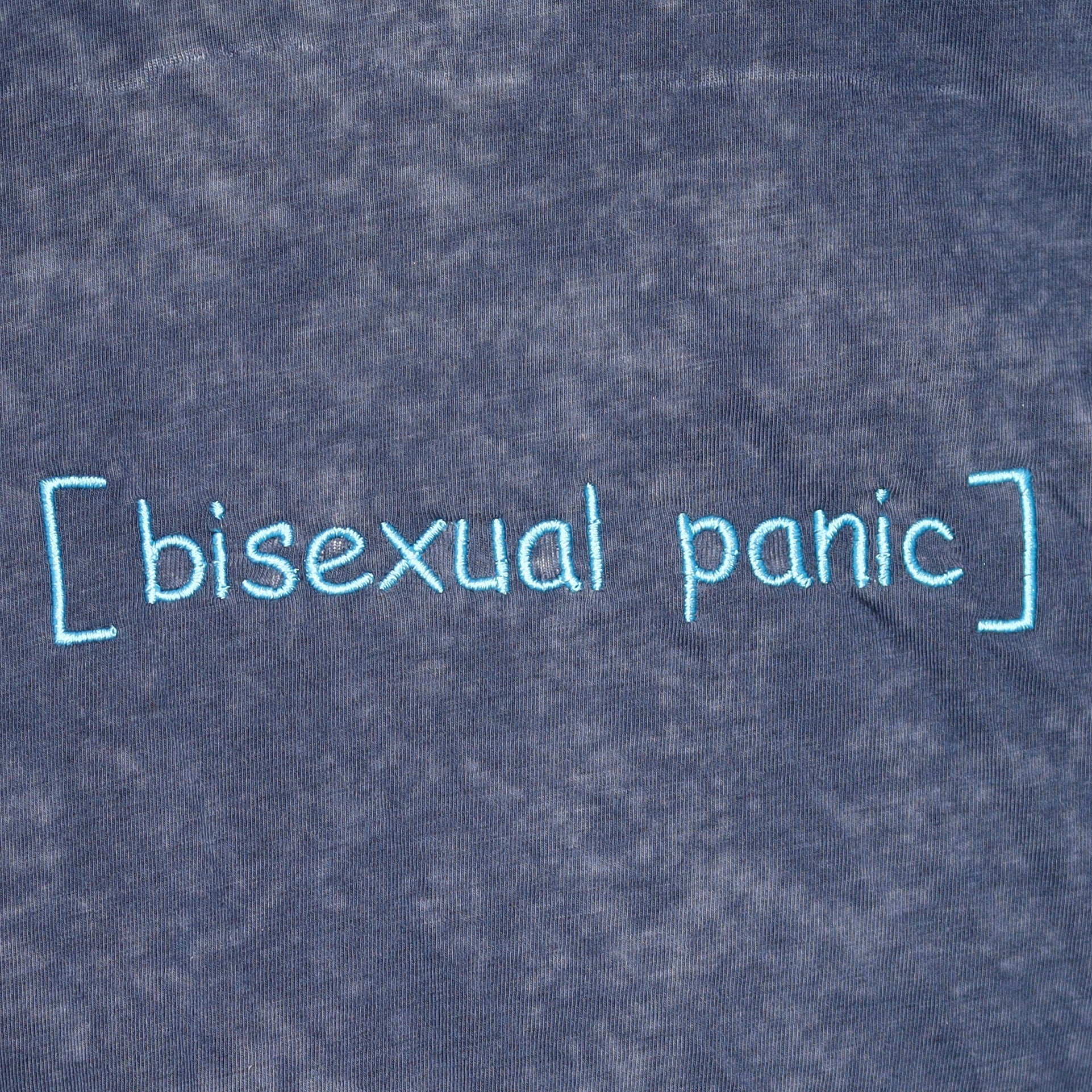 Bisexual Panic (long)