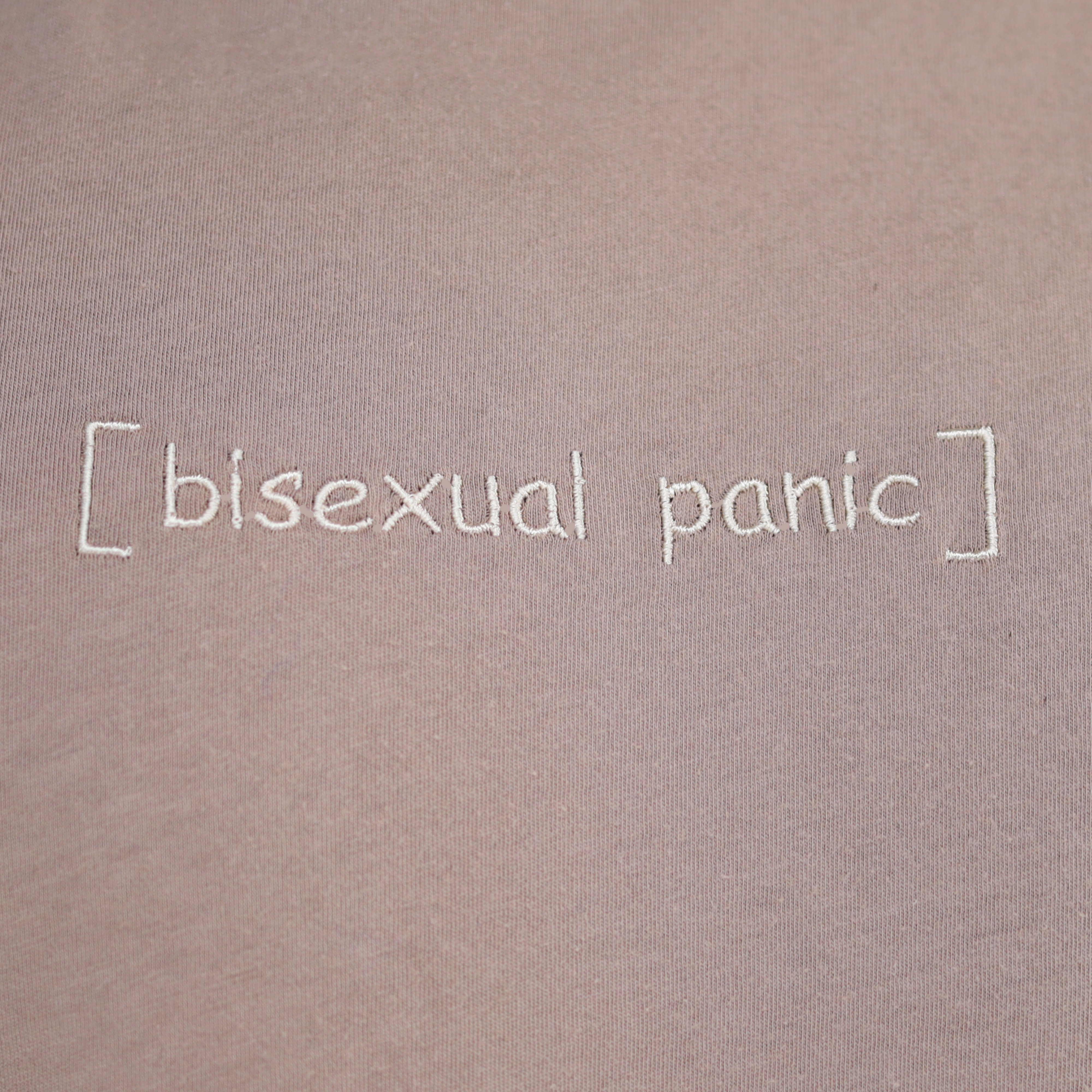 Bisexual Panic (long)