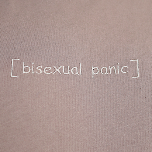 Bisexual Panic (long)