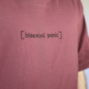 Bisexual Panic (long)
