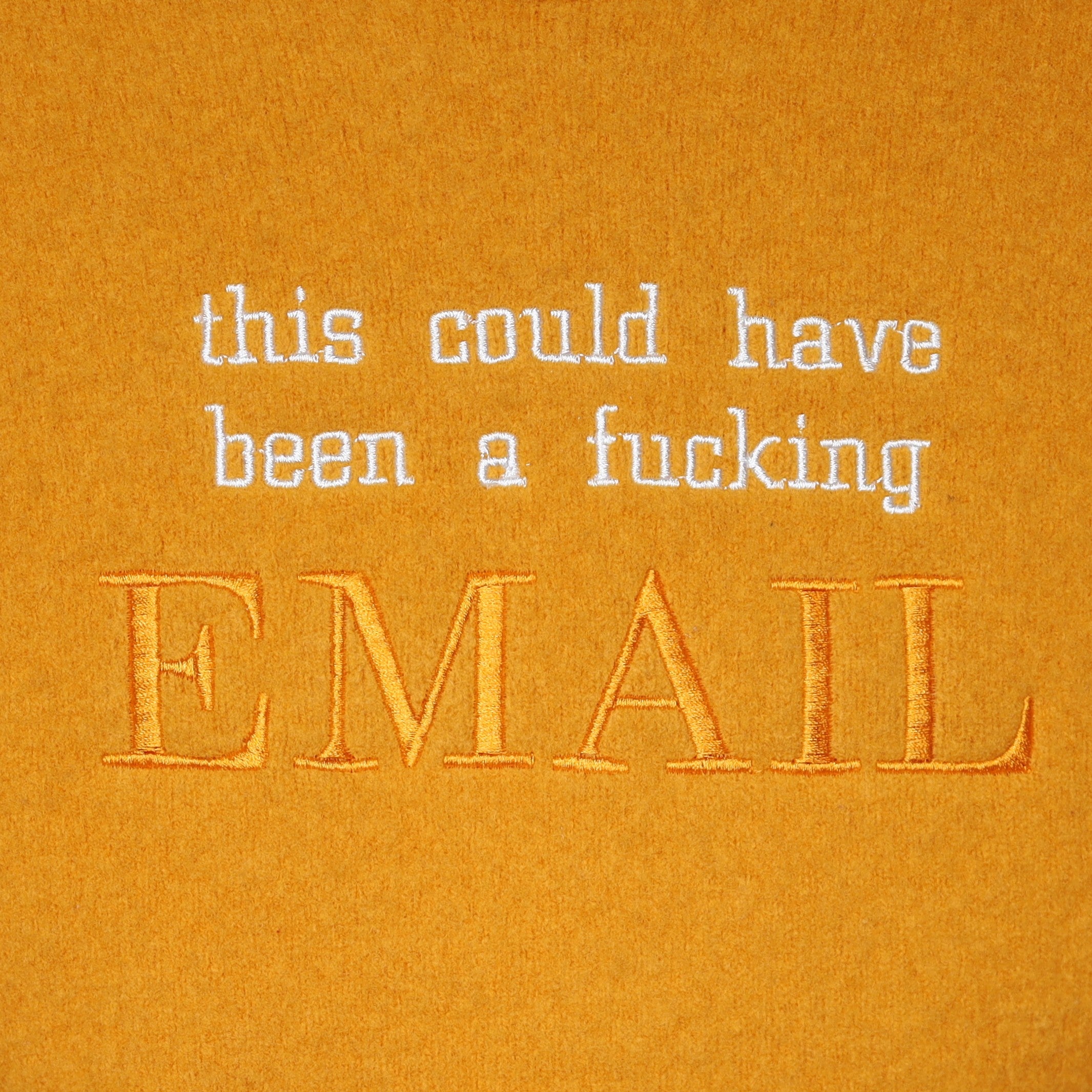 this could have been a f*cking EMAIL